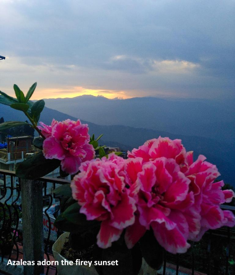 West Point Backpackers Hostel Darjeeling  Dış mekan fotoğraf